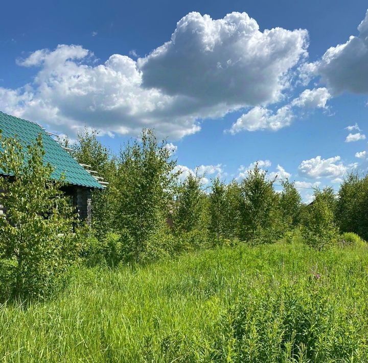 дом р-н Богородский д Заозерье ул Радужная 8 фото 13