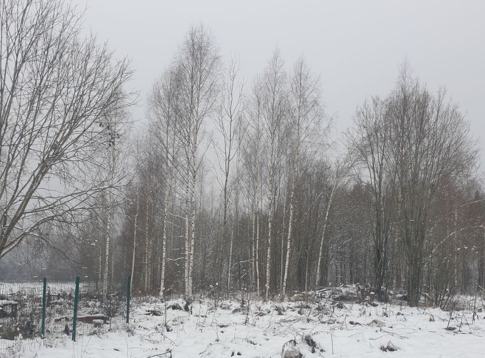 земля р-н Тосненский д Кирково Любанское городское поселение фото 13