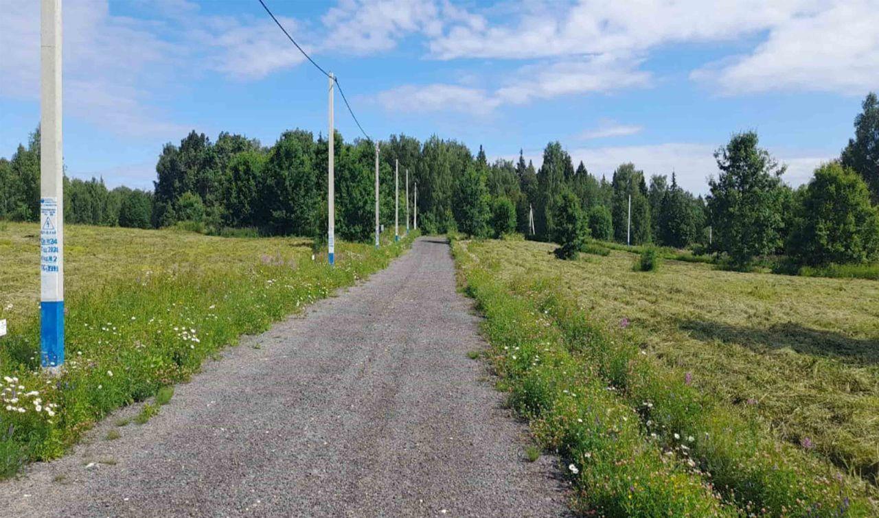 земля городской округ Пушкинский д Данилово ул Молодежная Ашукино фото 2