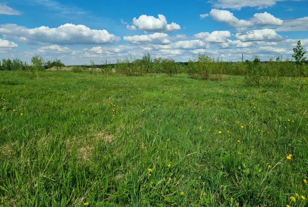 земля г Красное Село ул Красногородская метро Проспект Ветеранов фото 1