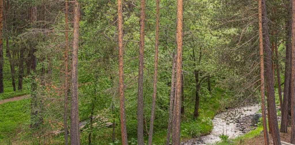 квартира р-н Эльбрусский с Терскол ул Лесная 19 фото 32