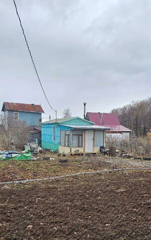 р-н Елизовский Шивелуч Камчатского морского пароходства СНТ фото