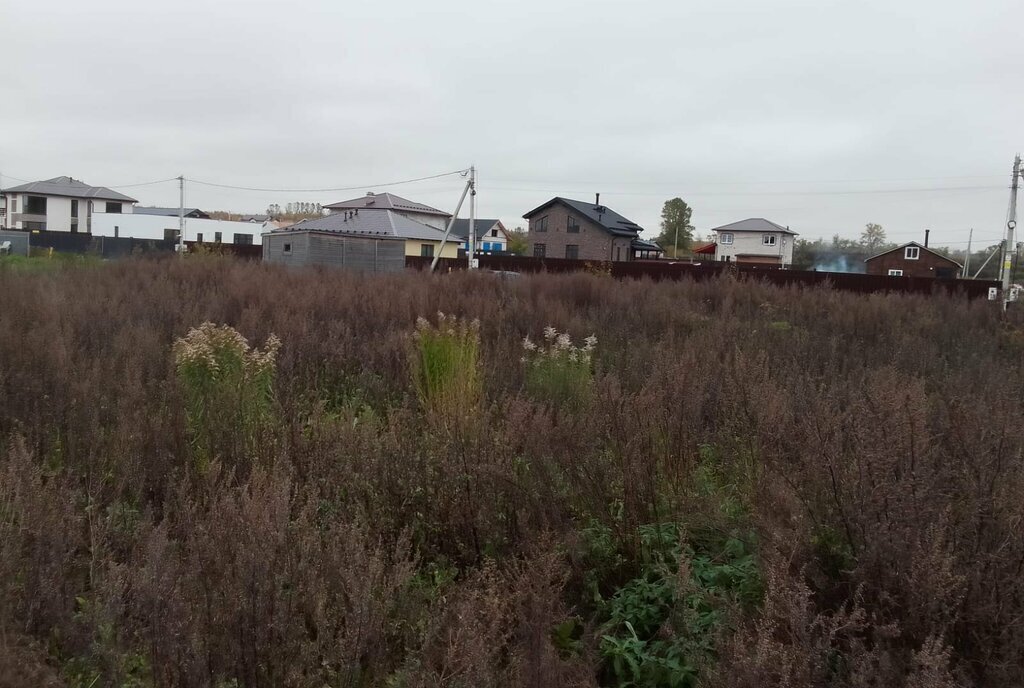 земля р-н Ломоносовский д Пески ул Выборгская Автово, Аннинское городское поселение фото 3