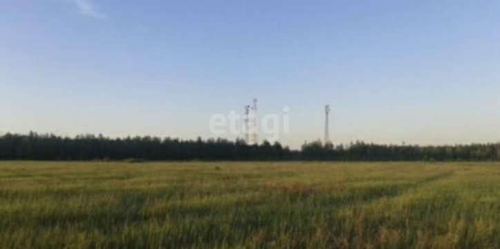 земля г Якутск Республика Саха Якутия фото 3