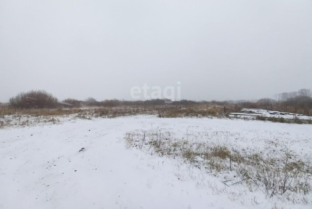 земля р-н Алапаевский п Заря ул Заринская фото 3