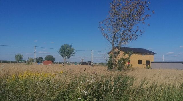 Воскресенск городской округ, Чайка дп фото