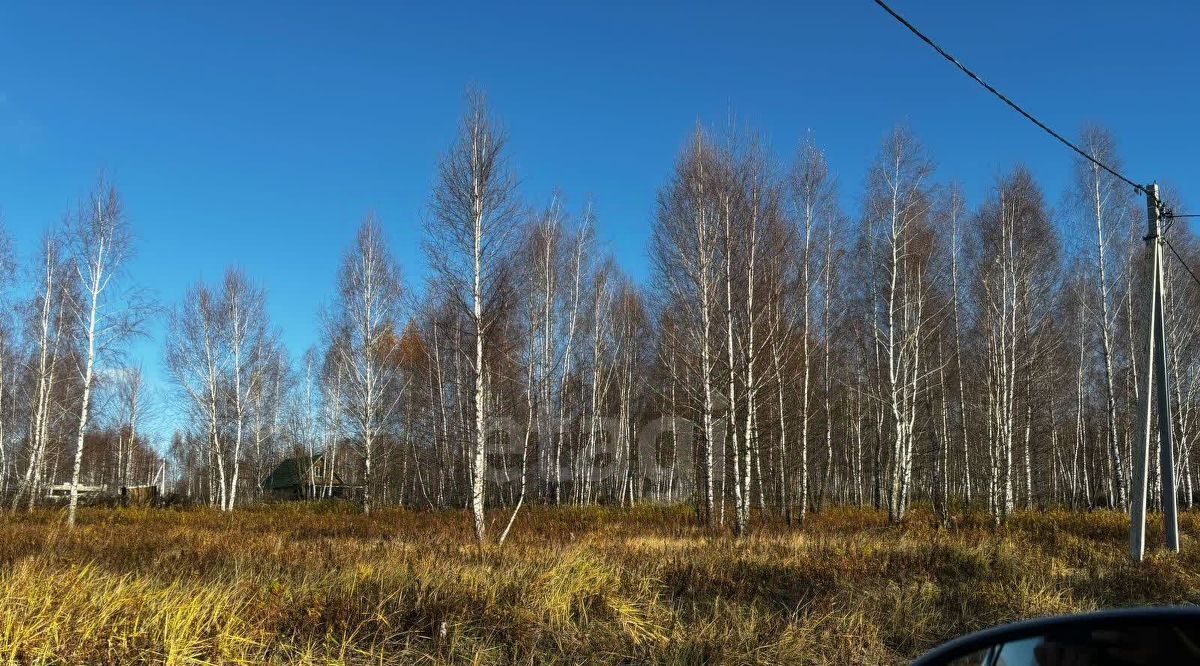 земля р-н Веневский д Новоселки Центральное муниципальное образование фото 8