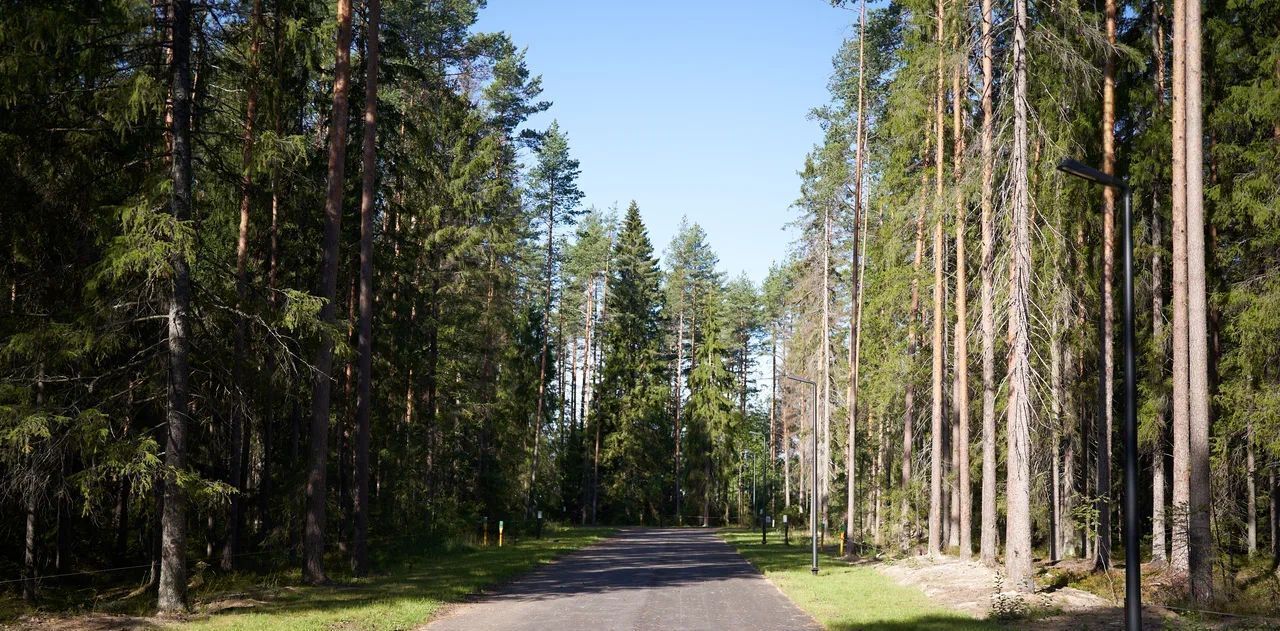 земля р-н Выборгский п Рощино Рощинское городское поселение фото 17