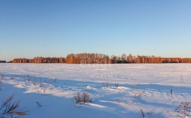 Горьковское муниципальное образование, Тюмень фото