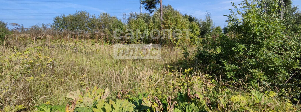 земля городской округ Рузский п Тучково фото 6