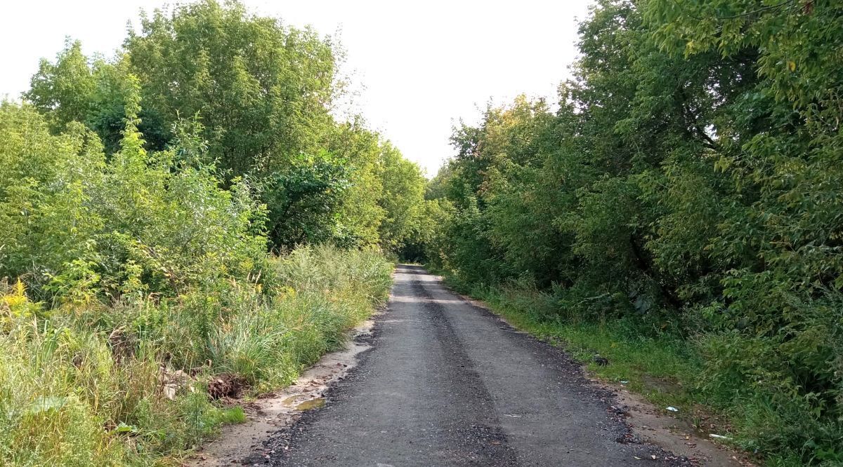 земля городской округ Пушкинский п Лесные Поляны снт Поляны фото 2