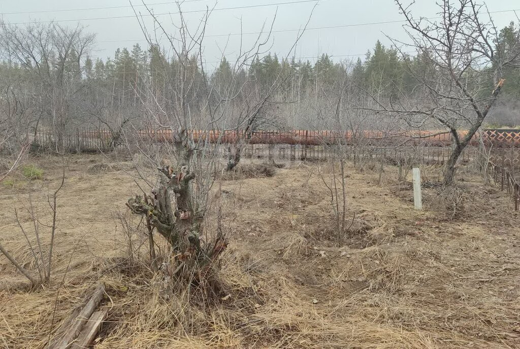 земля г Ульяновск р-н Заволжский снт Волна фото 5