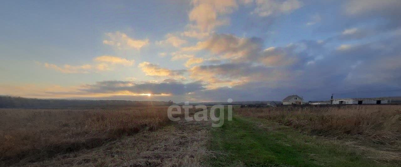 земля г Светлый п Люблино Светловский городской округ фото 12