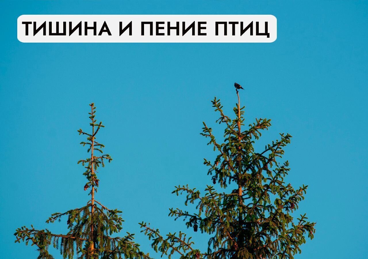 земля городской округ Солнечногорск д Татищево 47 км, Солнечногорск, Пятницкое шоссе фото 33