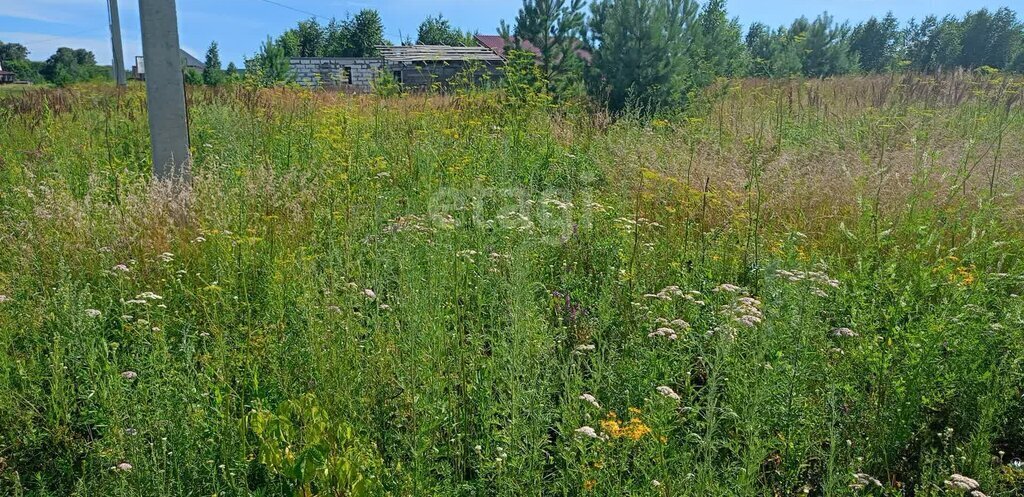 земля р-н Первомайский п Новый микрорайон Александрова слобода фото 2