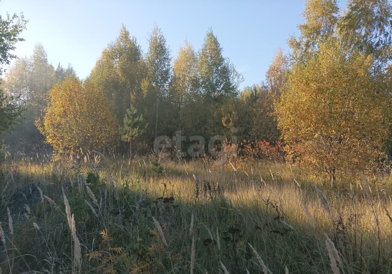 земля р-н Верхнеуслонский снт Родник Введенско-Слободское сельское поселение, 186, Казань фото 4