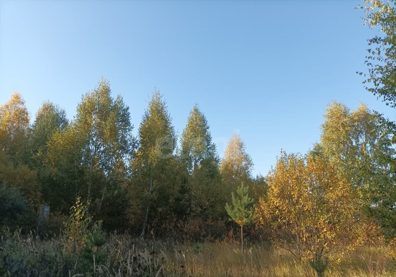 земля р-н Верхнеуслонский снт Родник Введенско-Слободское сельское поселение, 186, Казань фото 6