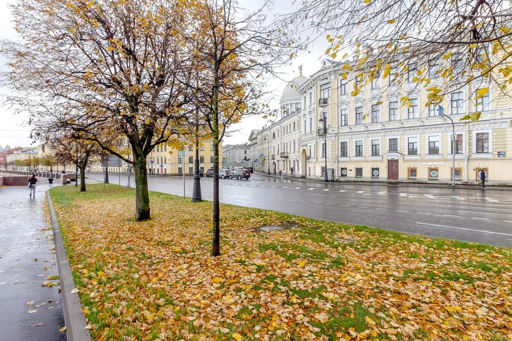 квартира г Санкт-Петербург метро Горьковская линия Кадетская В.О. линия, 31, Ленинградская область фото 36