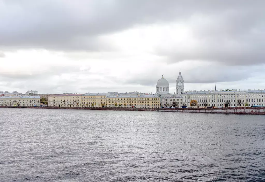 квартира г Санкт-Петербург метро Горьковская линия Кадетская В.О. линия, 31, Ленинградская область фото 37