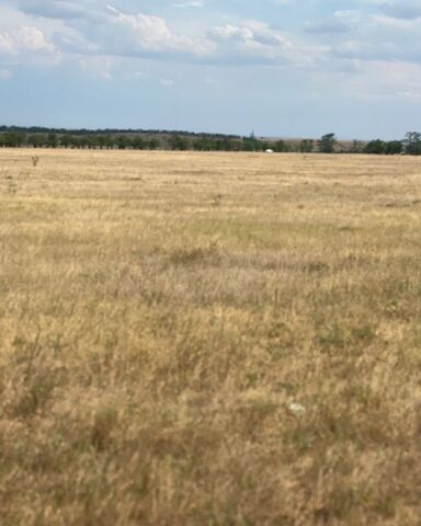 пгт Николаевка ул Советская Николаевское сельское поселение, Саки фото