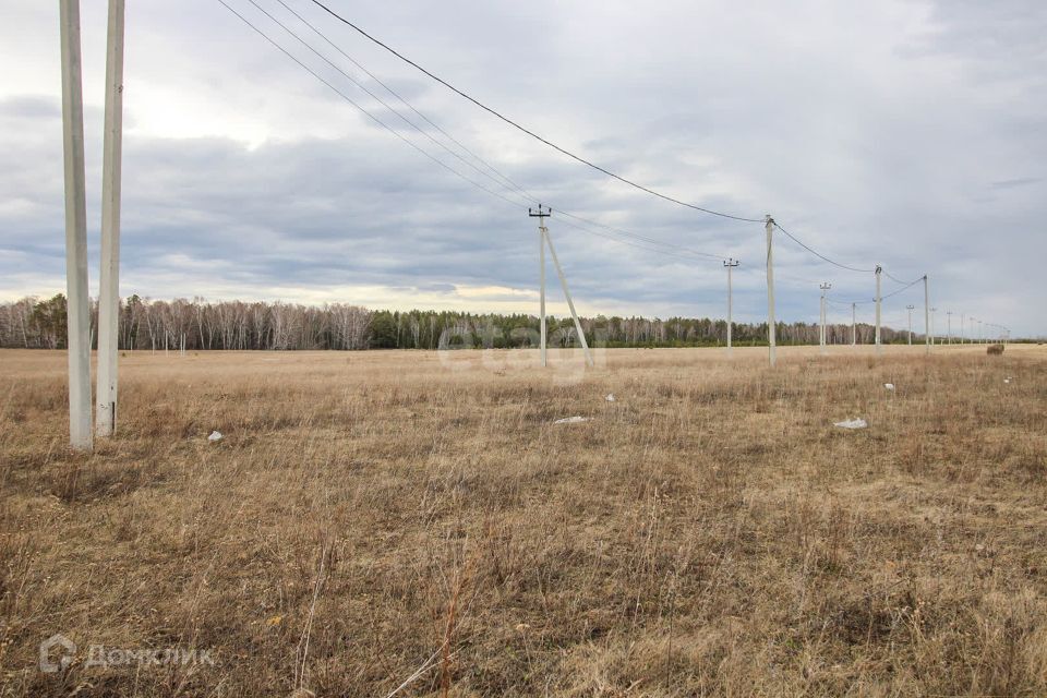 земля р-н Первомайский с Фирсово Рябиновая улица, 1 фото 1