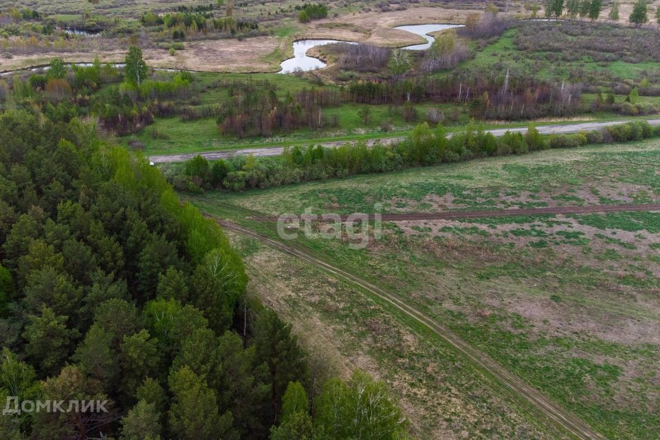 земля р-н Тюменский село Салаирка фото 4