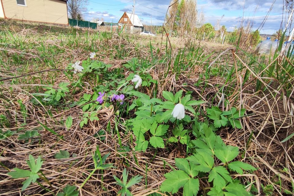 дом городской округ Первоуральск, посёлок Перескачка фото 9