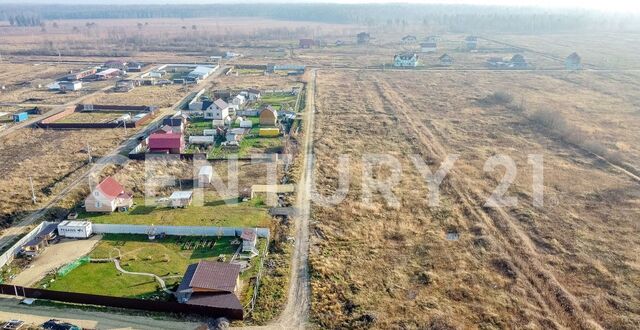 д Гостилицы Гостилицкое шоссе, 9733 км, Оржицкое сельское поселение, урочище Брандовка фото