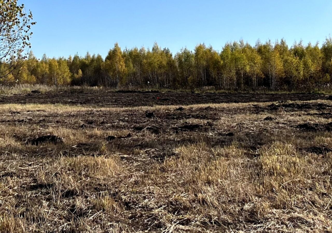 земля городской округ Серпухов д Пущино 83 км, Пущино, Симферопольское шоссе фото 3