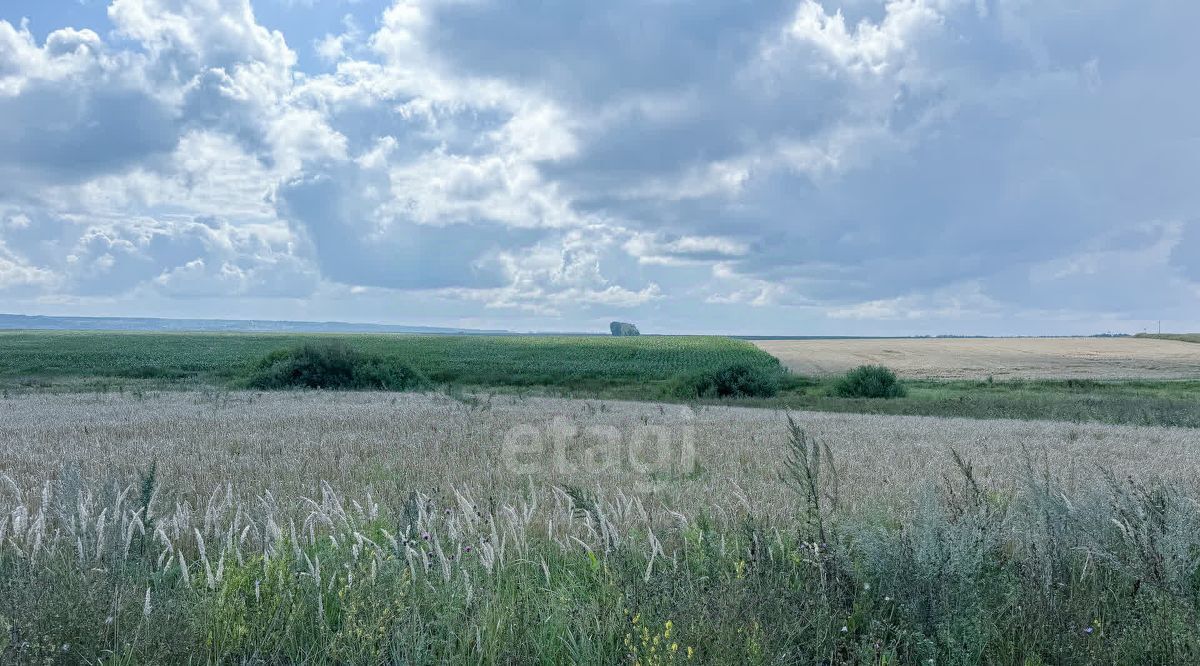 земля р-н Лямбирский с Смольково ул Красная фото 7