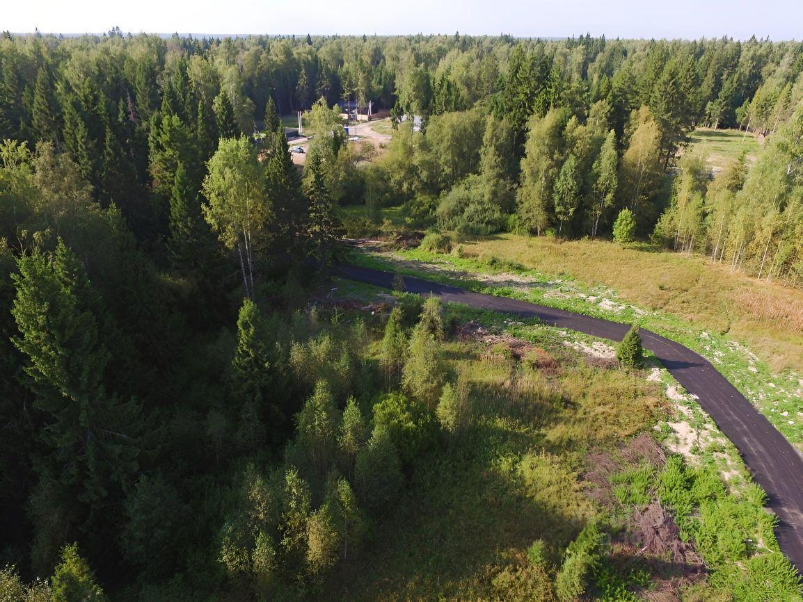 земля направление Савеловское (север) ш Рогачевское Дмитровский городской округ, Рождествено фото 5