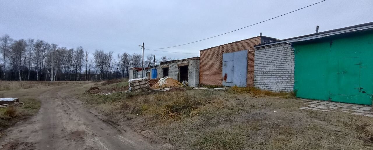 гараж городской округ Орехово-Зуевский д Емельяново Ликино-Дулево фото 2