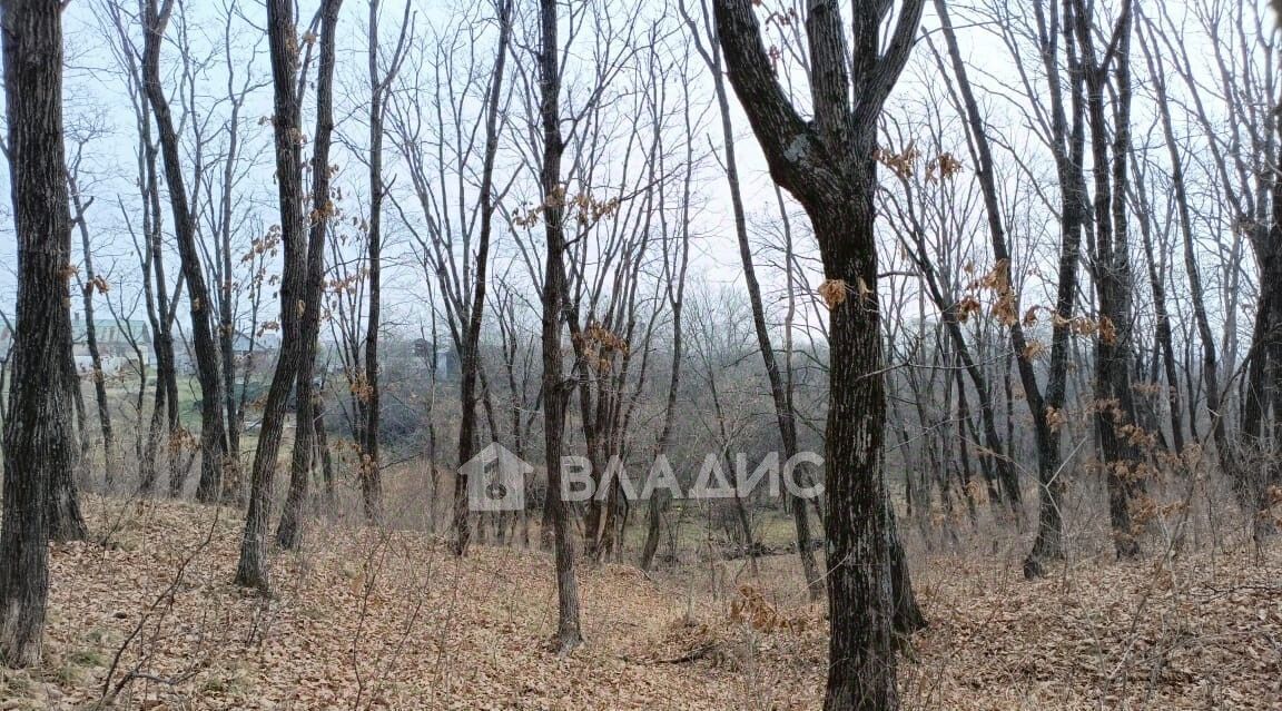 дом р-н Надеждинский п Городечное ул Свободы 30 фото 11