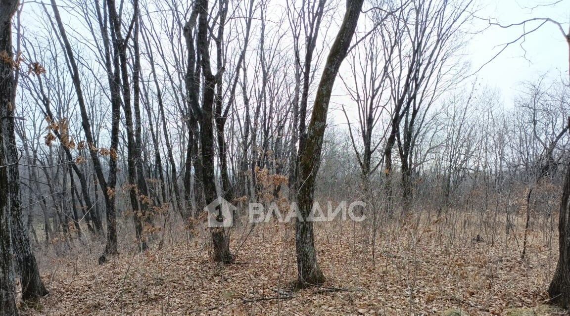 дом р-н Надеждинский п Городечное ул Свободы 30 фото 13