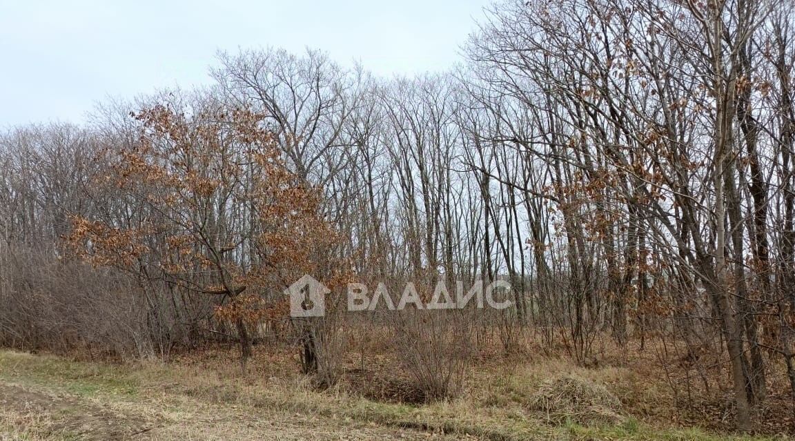 дом р-н Надеждинский п Городечное ул Свободы 30 фото 16