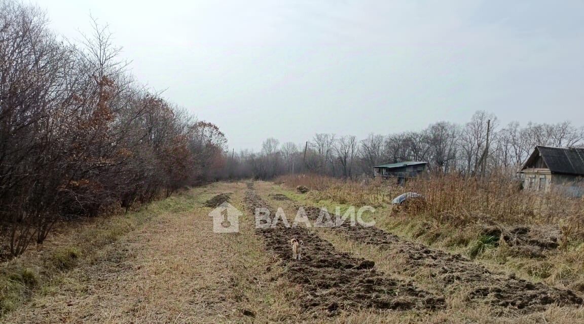 дом р-н Надеждинский п Городечное ул Свободы 30 фото 19