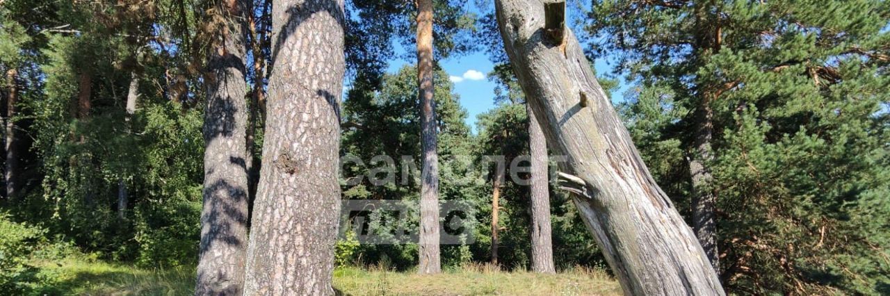 земля городской округ Солнечногорск д Гигирёво фото 11