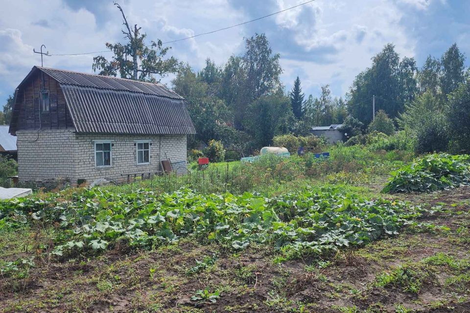 земля городской округ Барнаул, посёлок Казённая Заимка фото 4