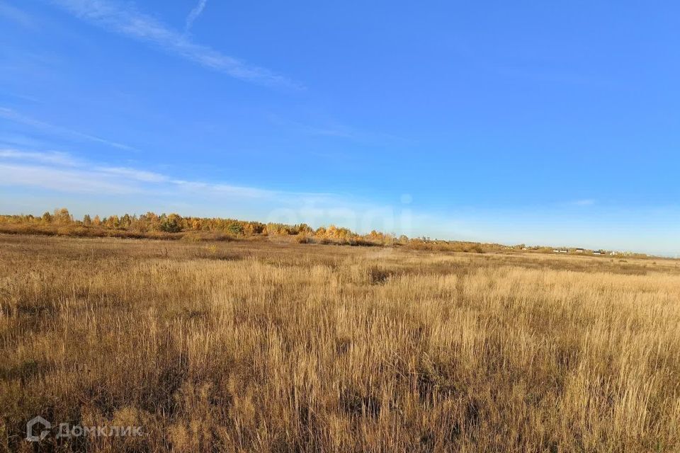 земля р-н Тюменский с Яр ул Трактовая фото 4