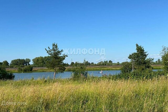 земля Архангельск городской округ, Озеро Волохница фото