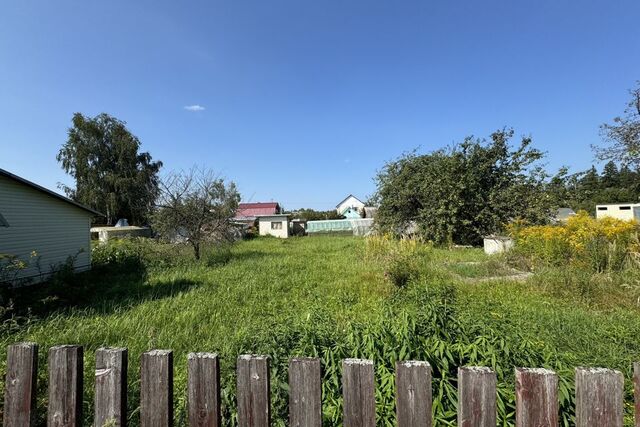 Десногорск городской округ, СТ Десна фото