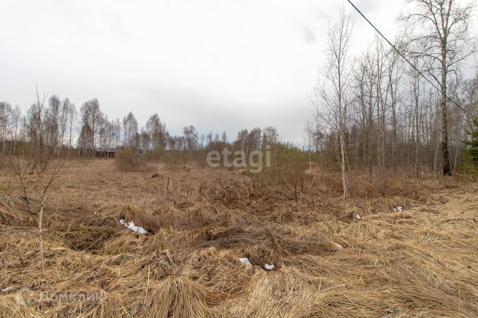 земля г Тюмень снт Сосновая поляна ул 30-я Тюмень городской округ фото 3