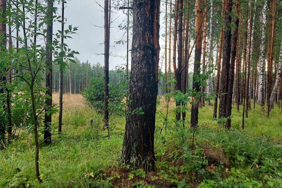 земля г Екатеринбург муниципальное образование город Екатеринбург, ПСК Северка-1 фото 2