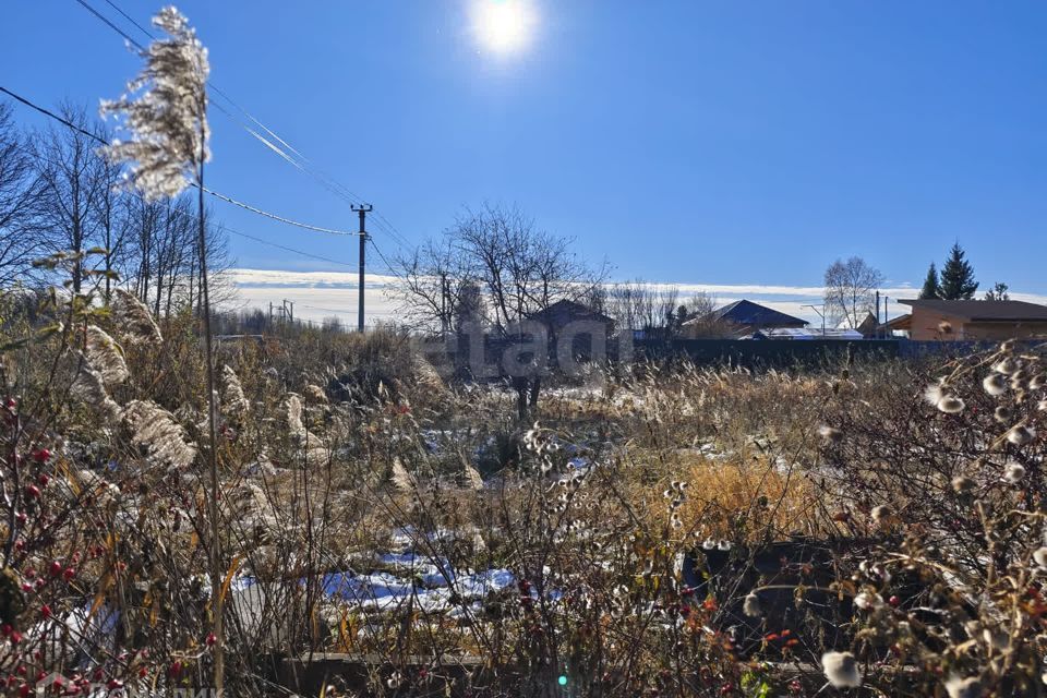 земля г Тюмень Тюмень городской округ, СТ Меркурий фото 4