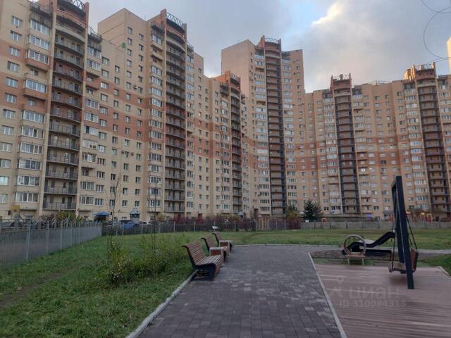 Ленинградская область фото