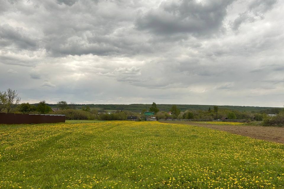 земля р-н Богородский д Инютино ул Советская фото 2