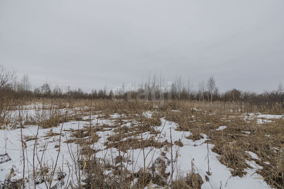 земля г Тюмень Тюмень городской округ, улица Поле чудес фото 8