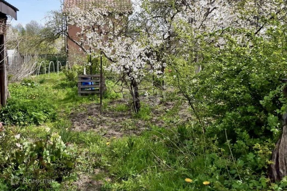 земля г Калининград городской округ Калининград, СНТ Весна фото 6