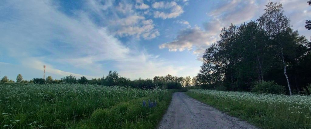 земля г Владимир д Шепелево р-н Октябрьский фото 3