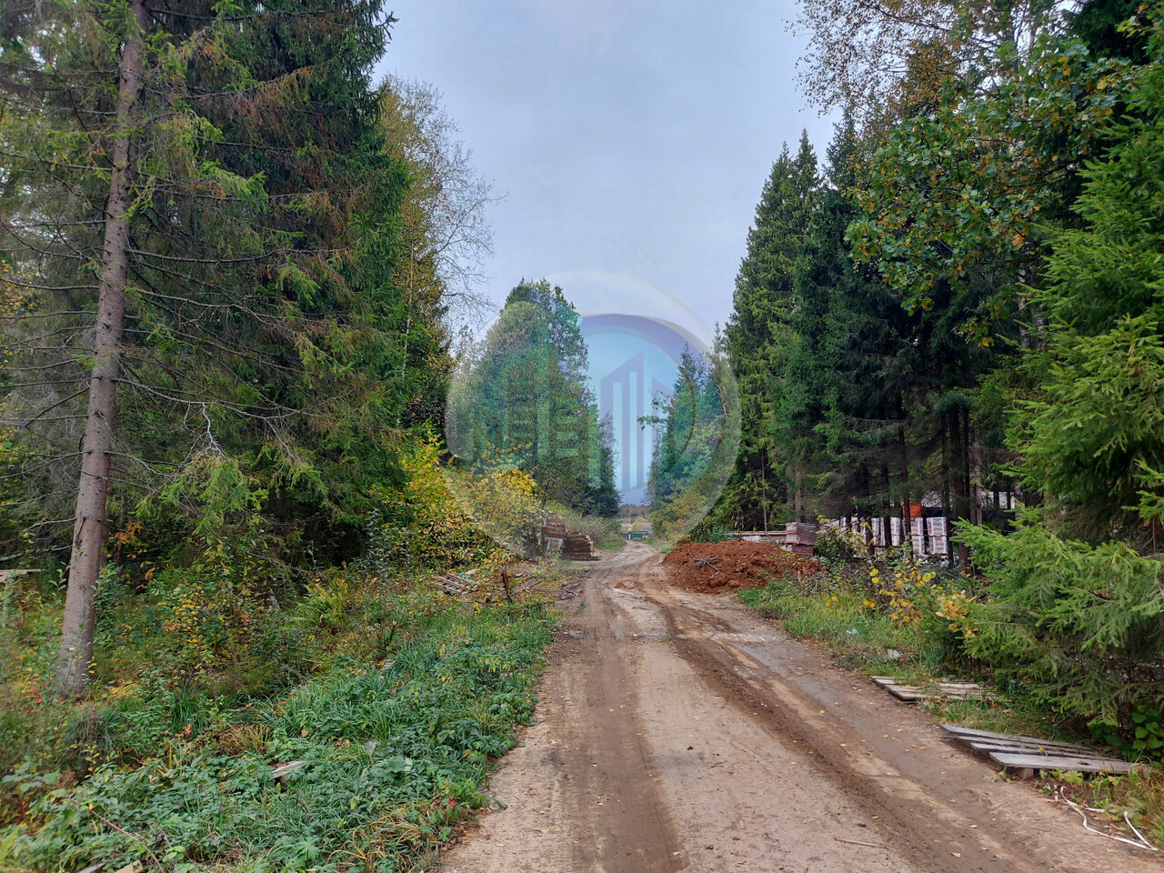 земля городской округ Пушкинский д Могильцы Ярославское шоссе фото 29